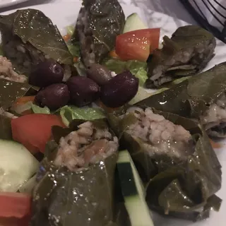 Dolma