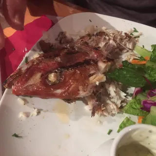 Red Snapper