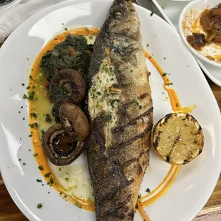 sea bass