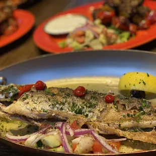 Mediterranean Sea Bass