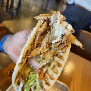 a hand holding a pita