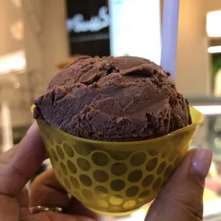 a hand holding a cup of gelato