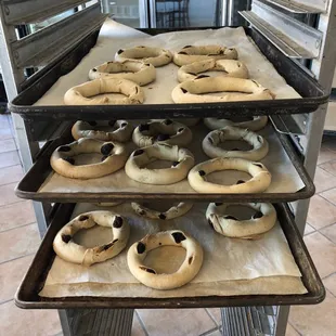 Maltese molasses rings