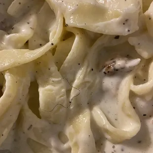 Chicken Alfredo with the hair. 1st and last time coming here