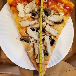 Slices are from a 20&quot; pizza