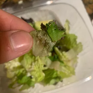 Salad is wilted and disgusting