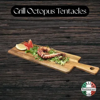 Octopus Tentacle