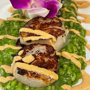 Scallop Chipotle