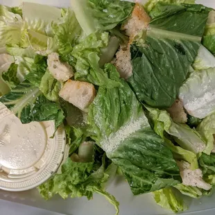 Caesar Salad