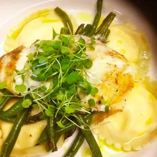 Halibut
