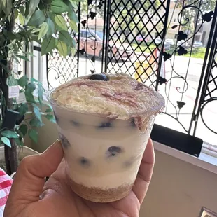 Blueberry shortcake dessert