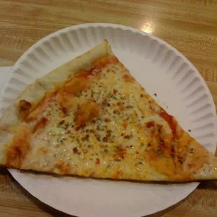 a slice of pizza on a paper plate