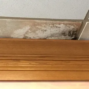 Serious mold growth in ceiling tiles! Hello, Health Department?