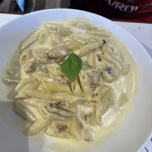 Veggie Alfredo