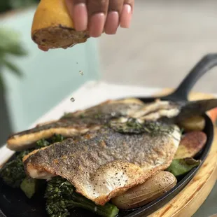 Branzino