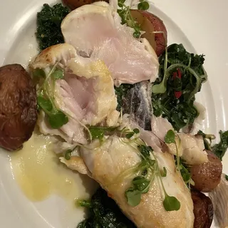 FISH OF THE DAY