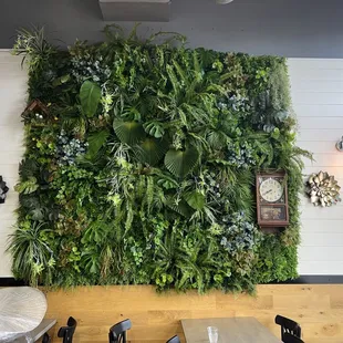 The green wall. So pretty.