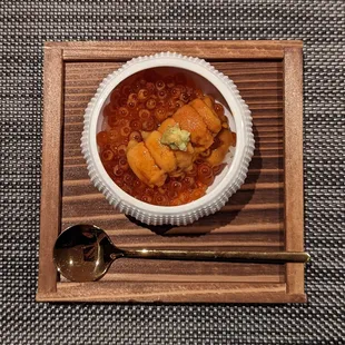 Ikura &amp; Hokkaido Uni