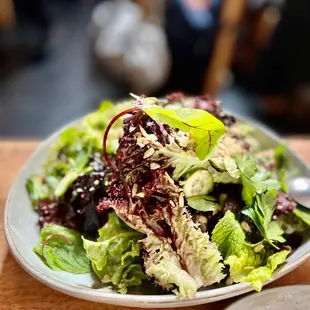LETTUCES $18: CRISPY GARLIC, SUNFLOWER, PERSIAN CUCUMBER, OREGANO VINAIGRETTE