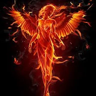 Rise Of The Pheonix A.