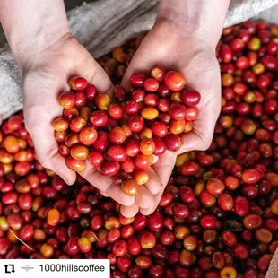 We get our coffee and espresso from Land of a Thousand Hills