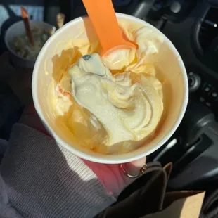 a person holding a cup of ice cream