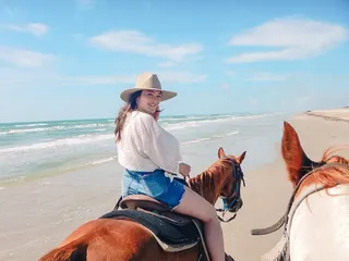 Horses On The Beach
