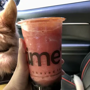 Watermelon Slush