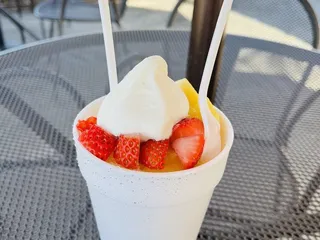 Sno 2 Go
