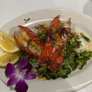 Lobster on a bed of rice with broccoli.    Nightly special