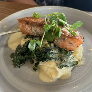 Grilled Salmon Filet