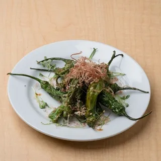Shishito Pepper