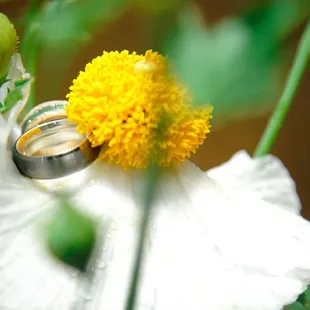Its Our Productions wedding event ring photography