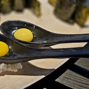 Quail Egg 1 order