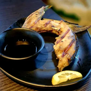Yellowtail Collar