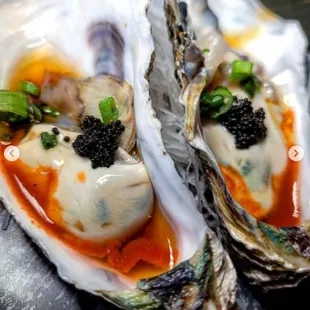 mussels, food, oysters, oysters and mussels, shellfish
