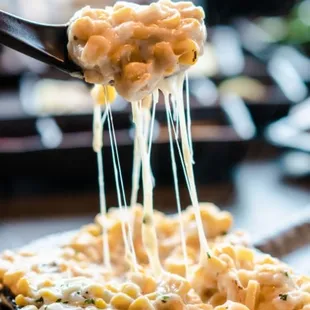 food, pasta dish, pasta