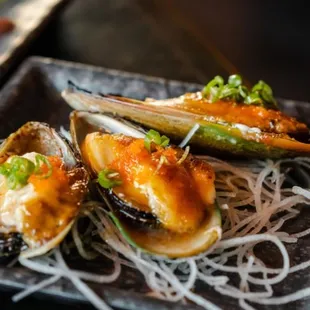 mussels, oysters and mussels, food, oysters, shellfish