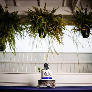 Photo by: Michael Freid - A. Harris Photography (Cake created and made by: "It's Tasy Too)