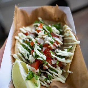 a hand holding a taco