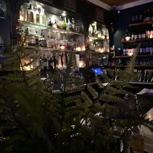 Bar area