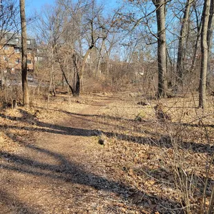 Path