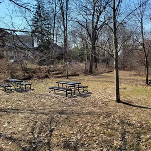Picnic area