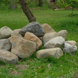 The ravines were made by glaciers; may be of interest for rock collectors out there.