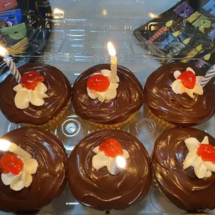 Boston Cream cupcakes