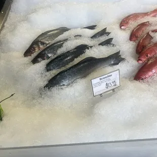 food, sushi and sashimi