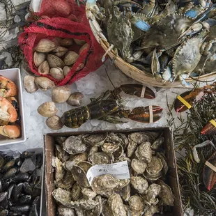 Local oysters, clams, and live blue crabs when in season!