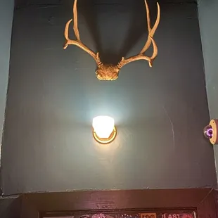a deer&apos;s head mounted on the wall