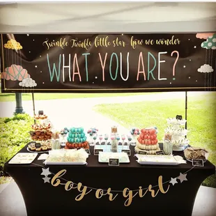 My Baby Shower &amp; Gender Reveal Party (2018).