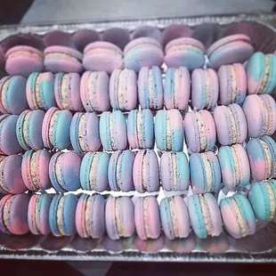 a tray of macarons